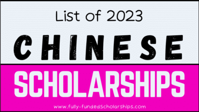 Chinese Scholarships 2023-2024 Announcement - Prepare Your Documents