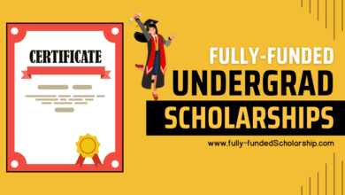 Scholarships for Bachelors or Undergrad Admissions