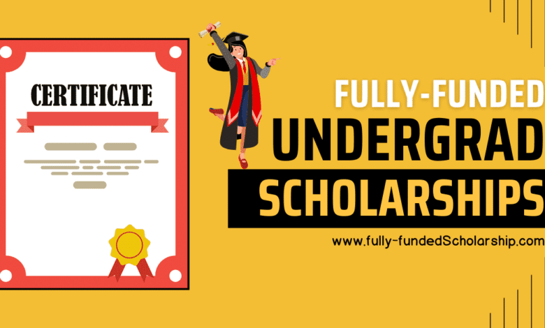 Scholarships for Bachelors or Undergrad Admissions