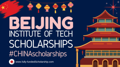 Beijing Institute of Technology (BIT) Scholarship 2024 in China