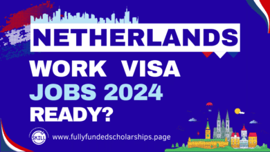 Netherlands VISA Sponsorship Jobs 2024 for Foreigners to Immigrate to Netherlands